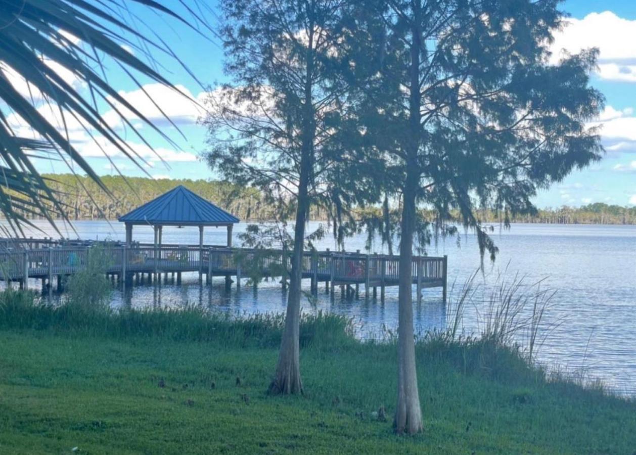 Disney Just 1 And A Quarter Mile Away, Blue Heron 1 Room 2 Bath,Amenities,6 Guests, Walk To Restaurants, No Fees At Check In Orlando Dış mekan fotoğraf